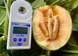 今日吃瓜合集,娱乐圈风云再起，热点事件盘点